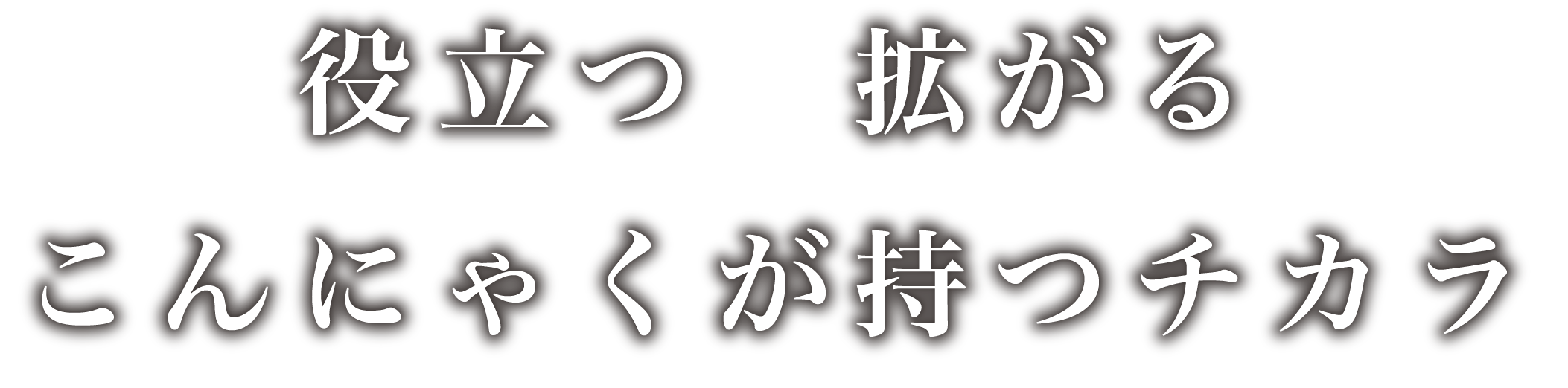 創業105年の実績と信頼 株式会社荻野商店