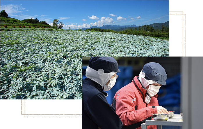 こんにゃくと荻野商店。